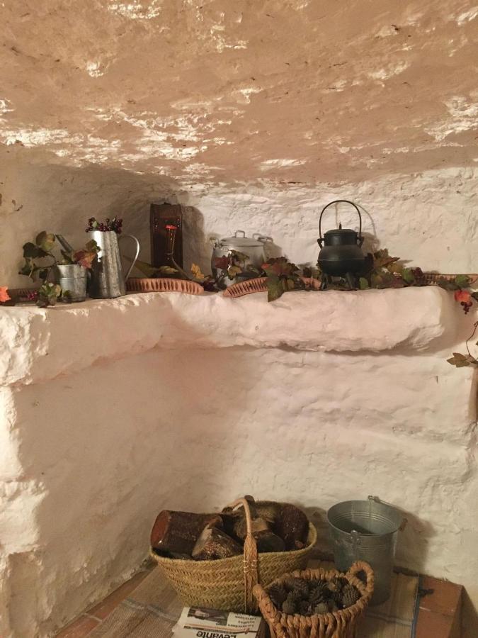 アルカラ・デル・フカル Casa Cueva Araceliヴィラ エクステリア 写真